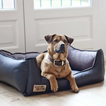 Smilla Apartmán Scharbeutz