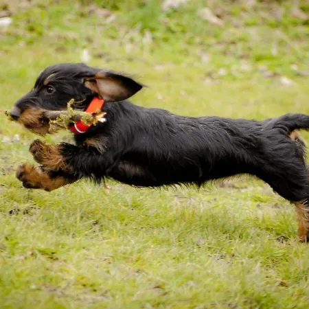 Smilla Апартаменты